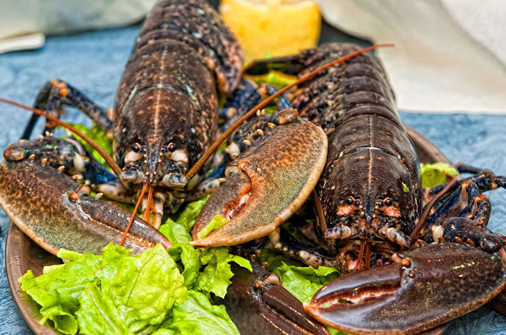 Llagosta Sant Valentí