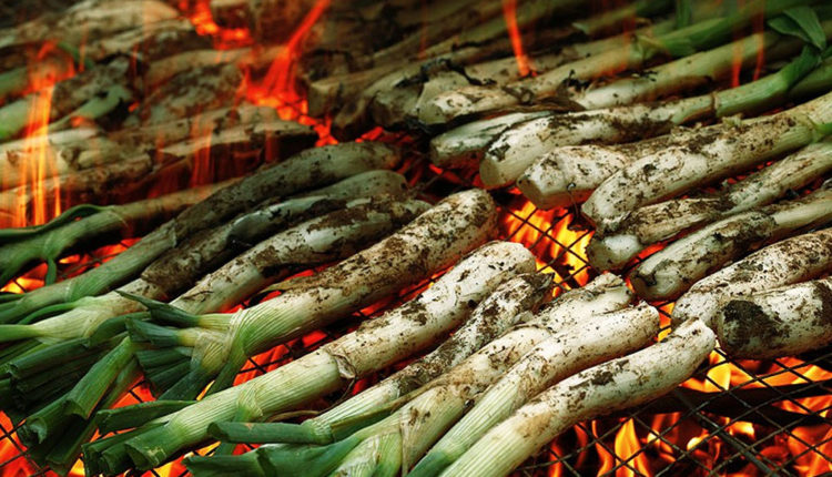 calçots