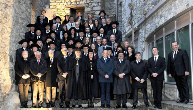 Constitució síndics