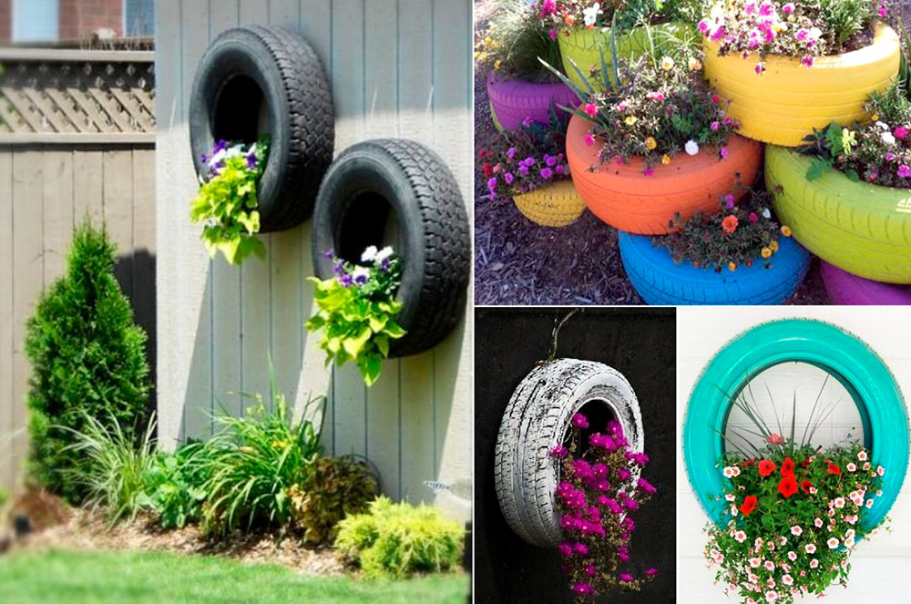 plantes en pneumàtics