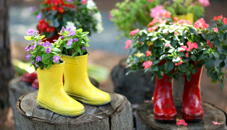 botes plantes jardí