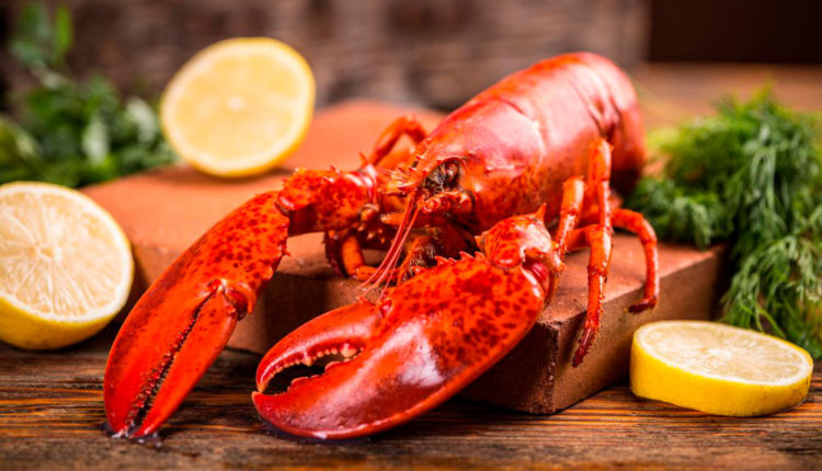 Amanida de llamàntol