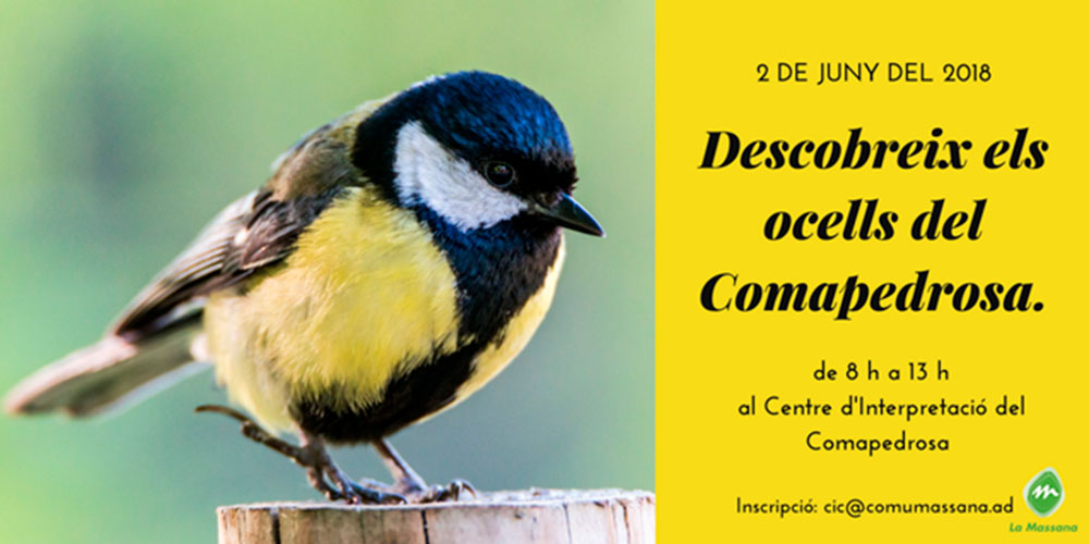 Agenda d'Ocells del Comapedrosa