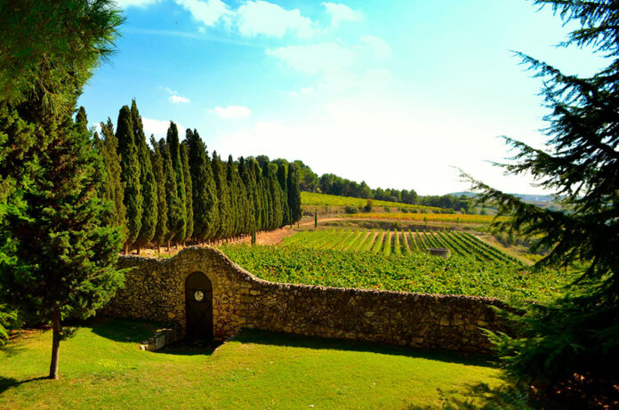 Celler Albet i Noya