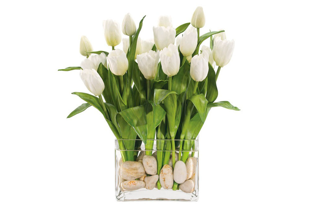 Tulipes blanques