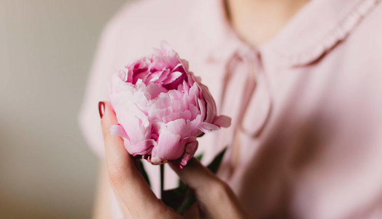 Fragàncies fresques