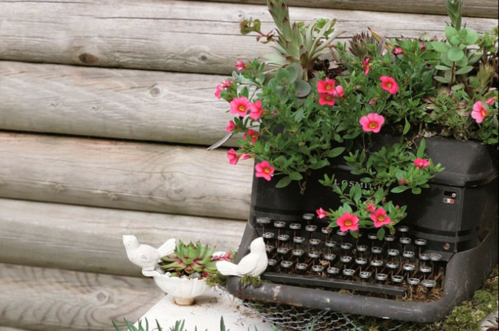 Màquina d'escriure i plantes