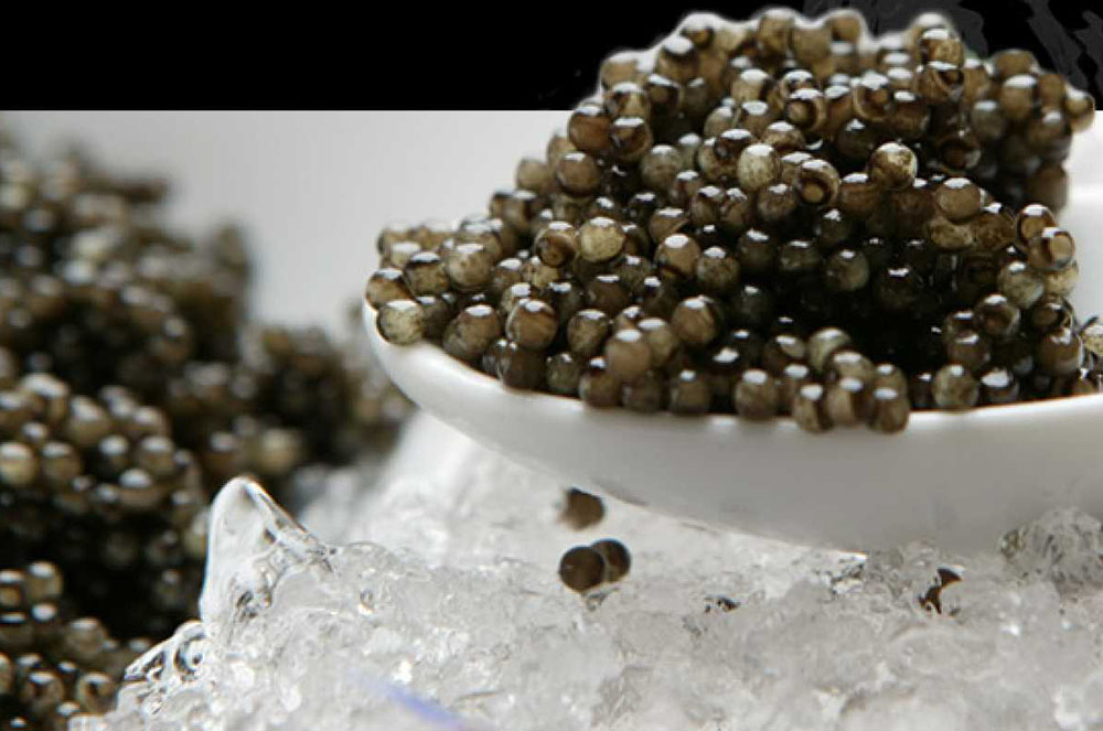 Caviar Riofrio al Buda d'Andorra la Vella