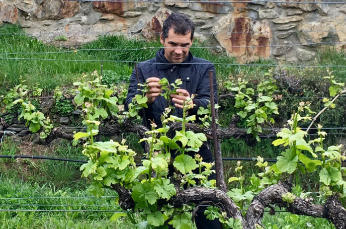 Celler d'Auvinyà d'Andorra