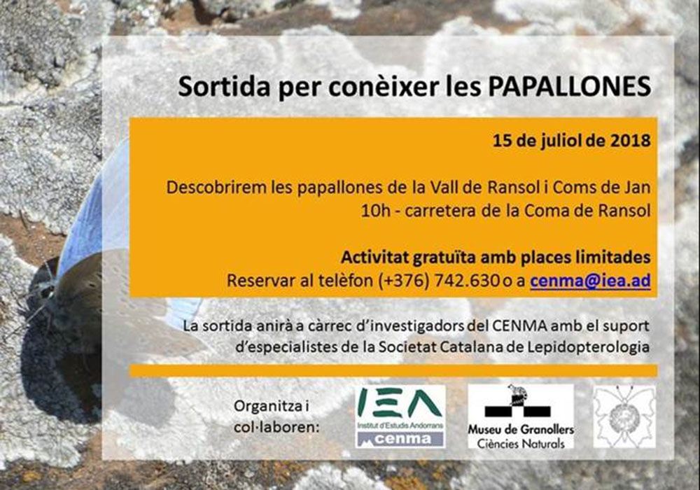 Sortida per conèixer les papallones
