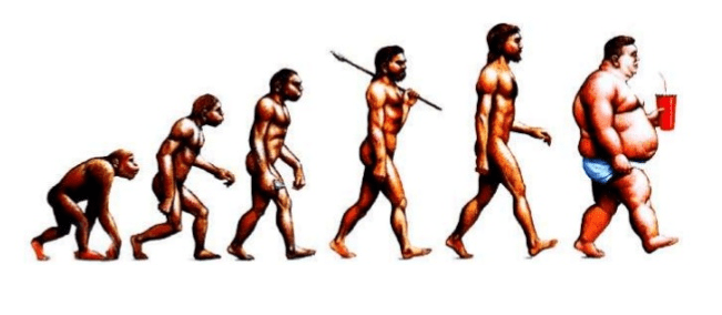 Evolució menjar massada