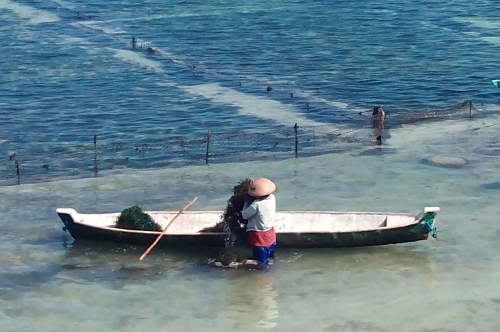 Pescador a Bali