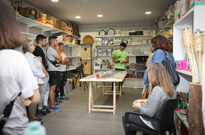 Taller de bonsais a tot natura