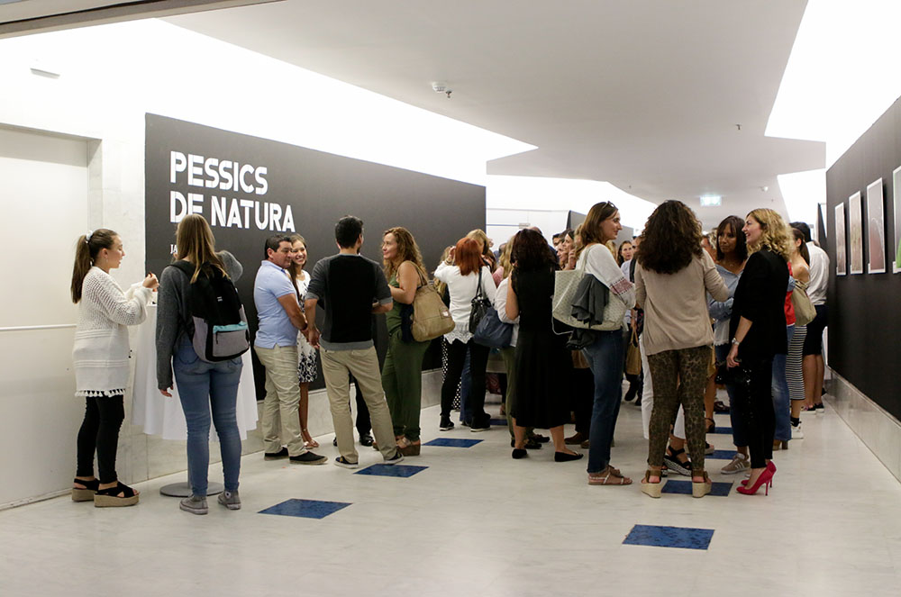 Presentació exposició Jaume Riba