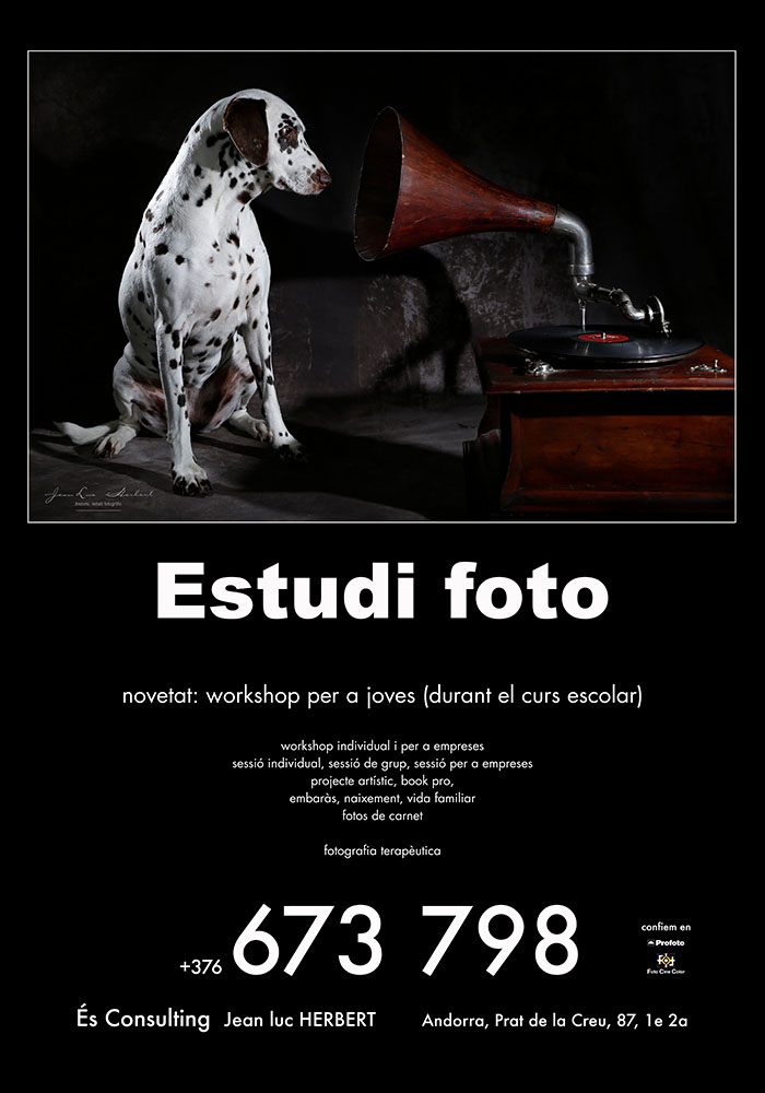 Banner workshop és consulting fotografia