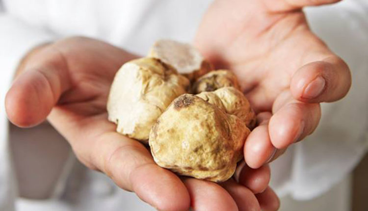 1456639_211156572554558_5438188463295781038_n