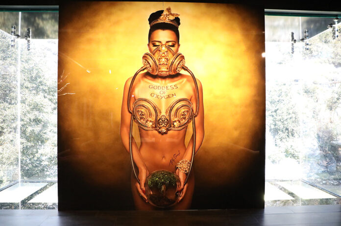Artalroc exposició