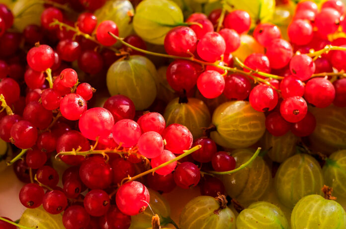 Vitamines remeis naturals refredats
