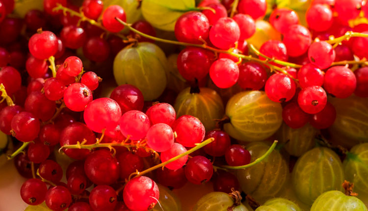 Vitamines remeis naturals refredats