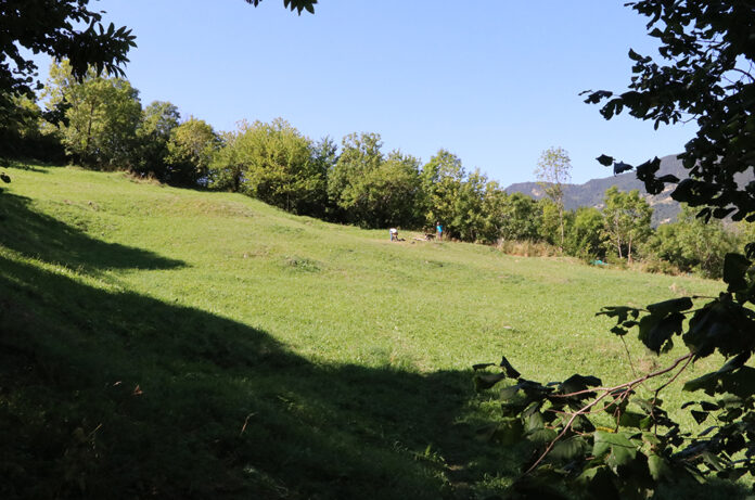 Zona d'esbarjo per a gossos a Encamp