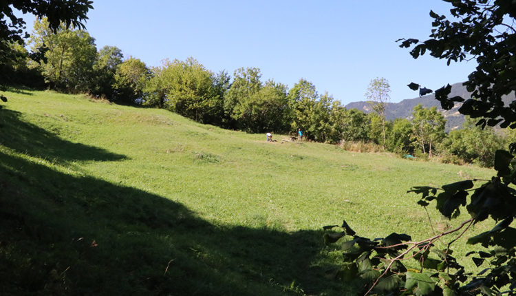 Zona d'esbarjo per a gossos a Encamp