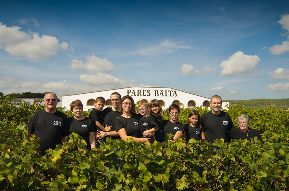 Vinyes pares balta nectarvi