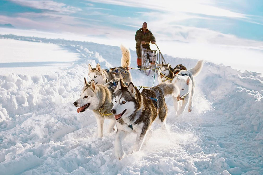 Mushing Cap d’Any Nadal