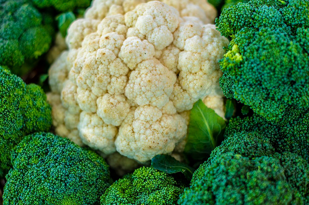 remeis naturals males digestions coliflor