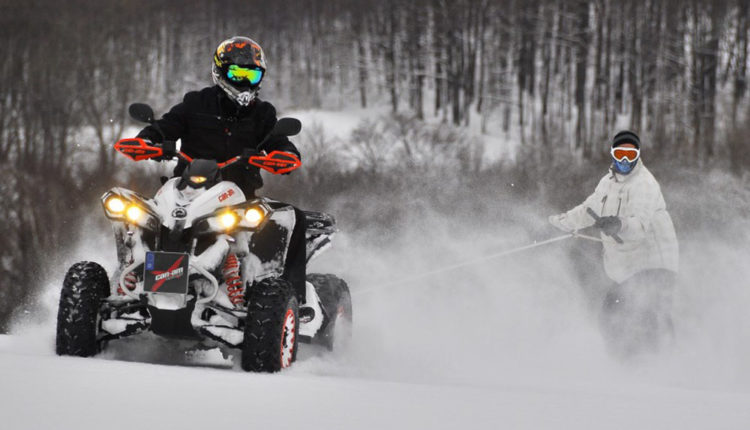 Propostes divertides d'hivern