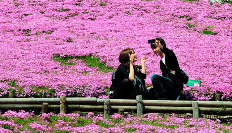 japan-nikon-d300-49446-h