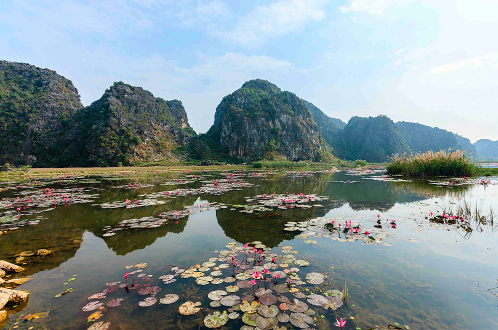 Skull Island a Nova Zelanda