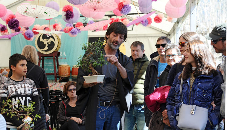 46585300015_36f8f8404c_o