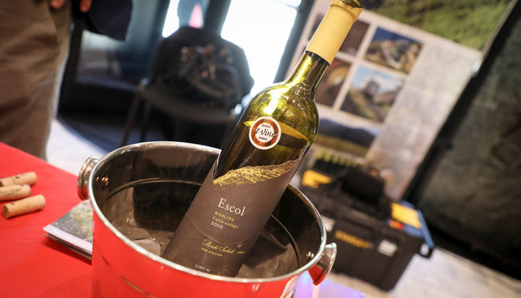 Dona Secret-727A7854