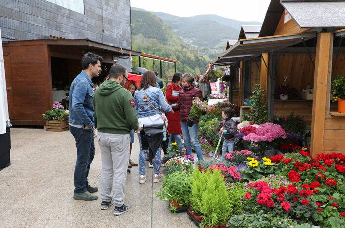 Andoflora 2019