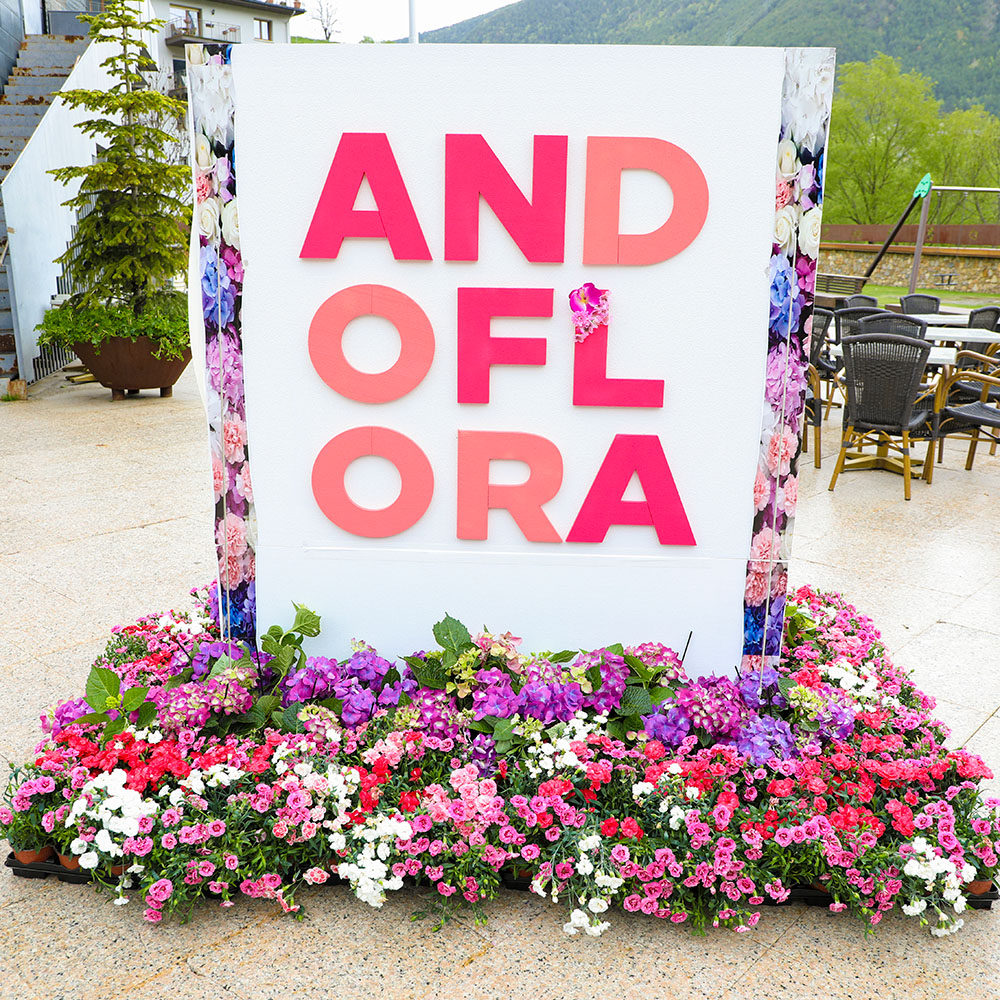 Logo d'Andoflora 2019