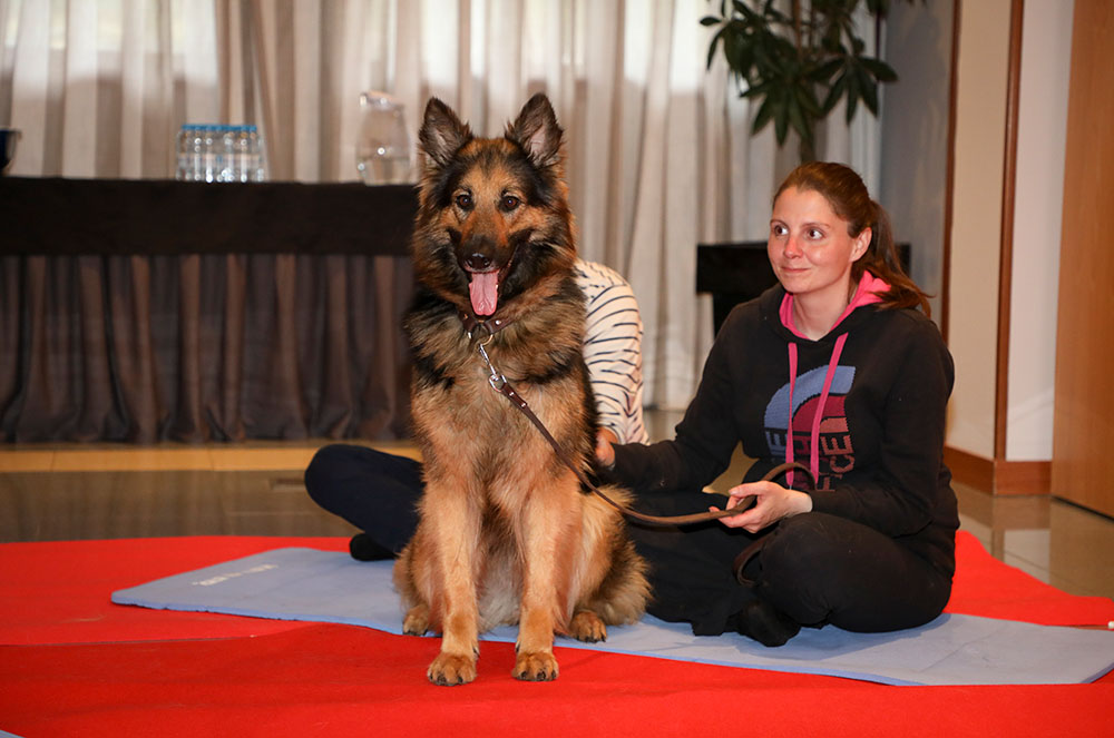 Shadow Shepherd a les sessions de Doga