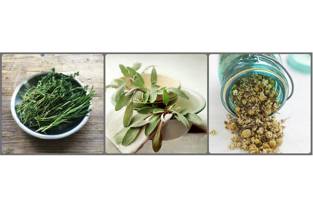 remeis casolans contra el mal d'esquena