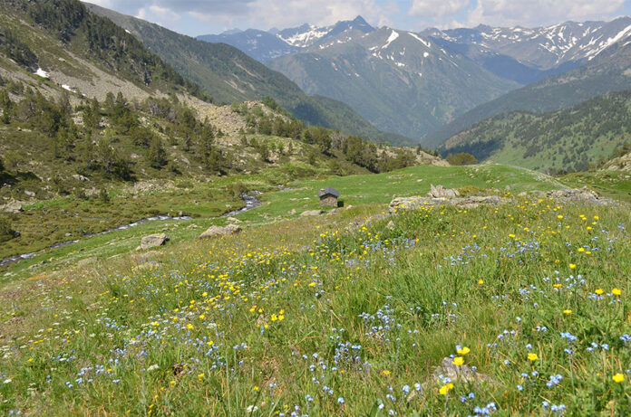 Vall de Sorteny