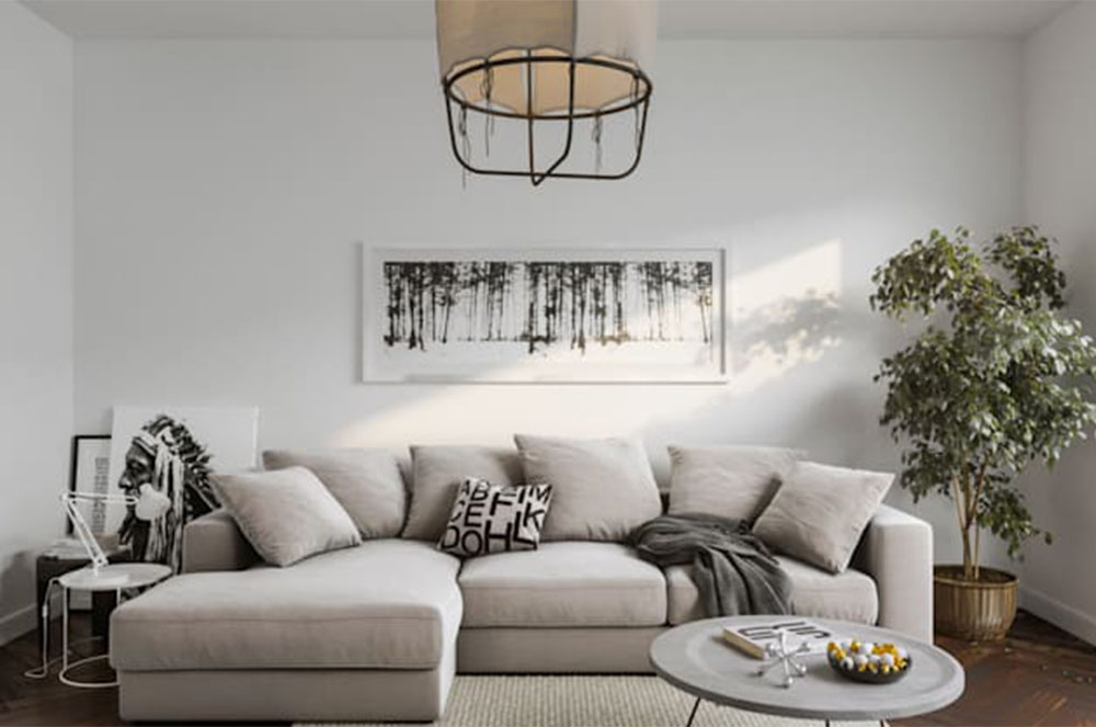 Decoració Blanc i negre