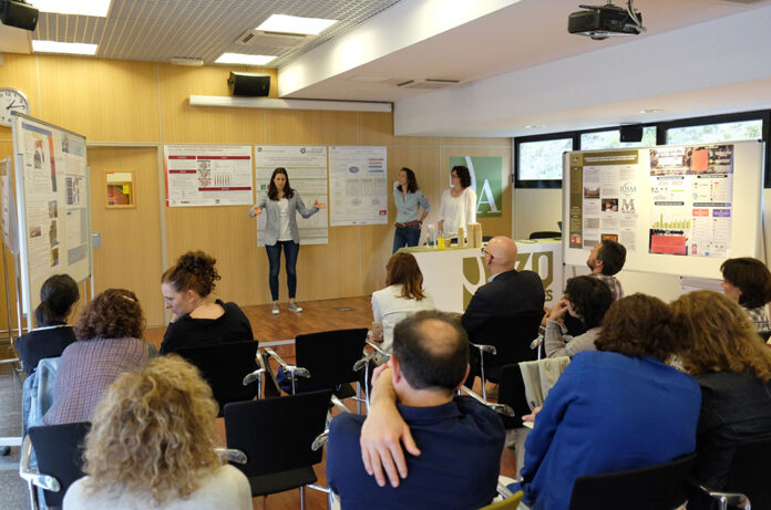 Seminari de Recerca UdA