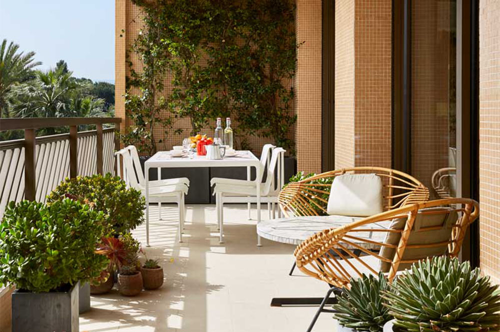 Terrassa amb plantes