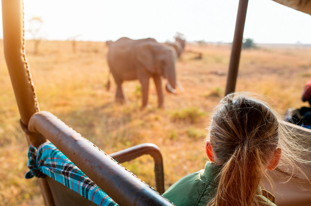 Safari d'elefants a Kènia