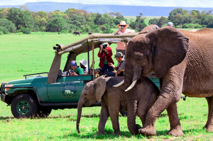 Safari a kènia