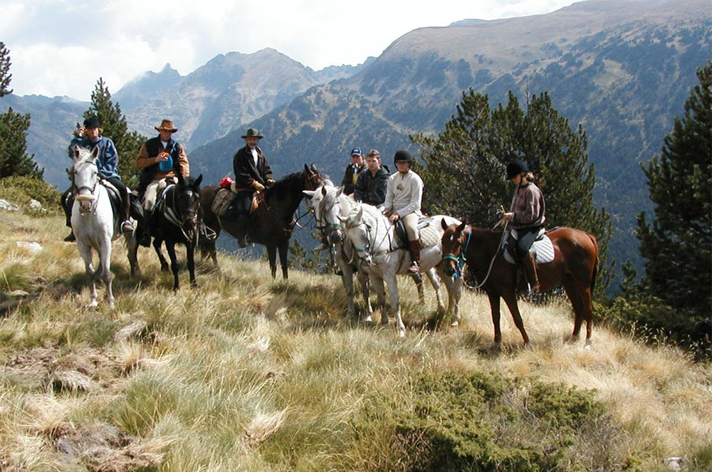 Club Hípic l'Aldosa