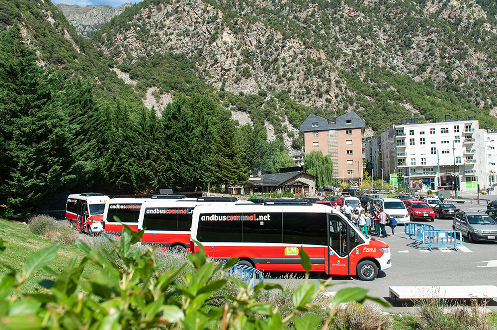 Nova flota de buses andbus