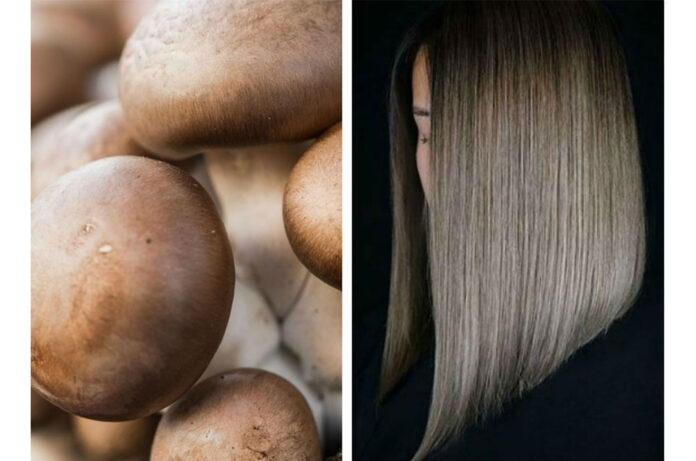 Mushroom Blonde