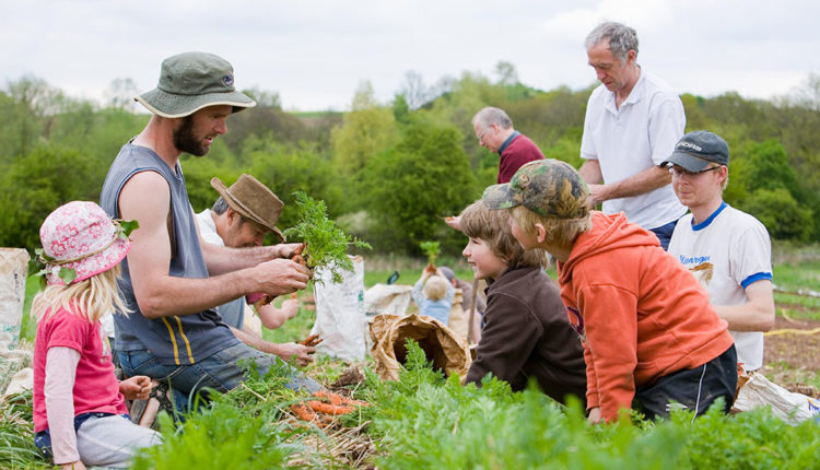 13379129843_7912386f8c_o