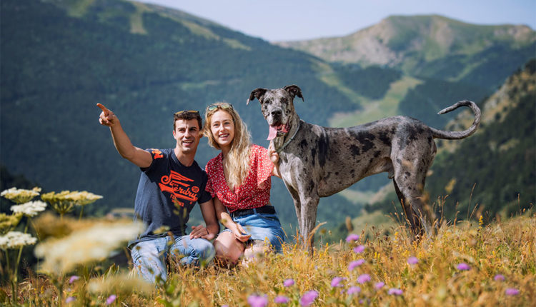 PREBODA DAVID LARA 2019