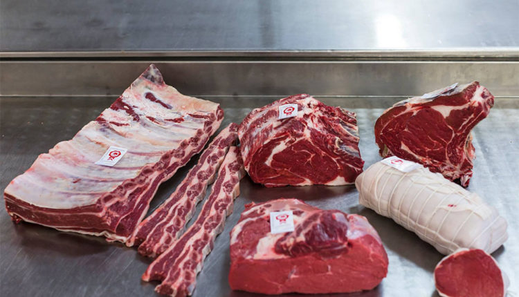 14372285_1087969774590053_2837253777347100188_o