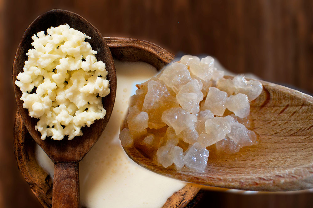 Recupera't dels excessos amb quefir